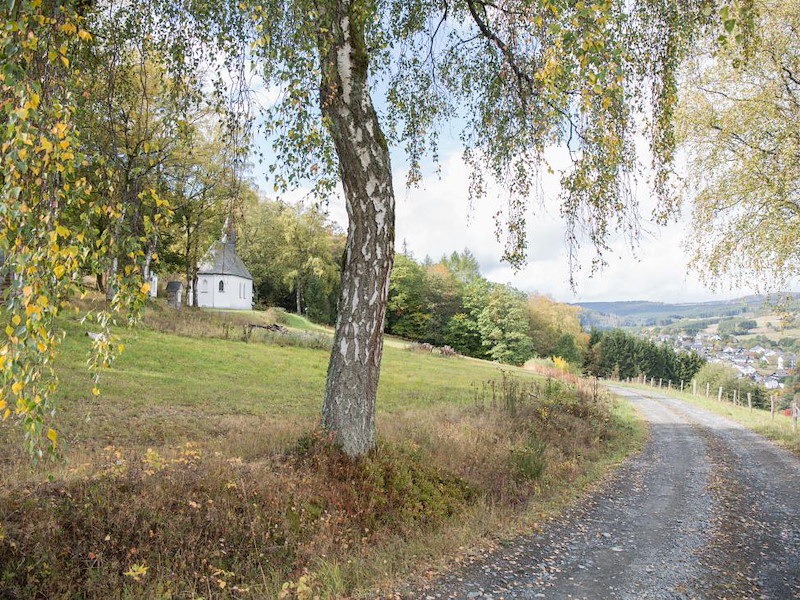 Omgeving