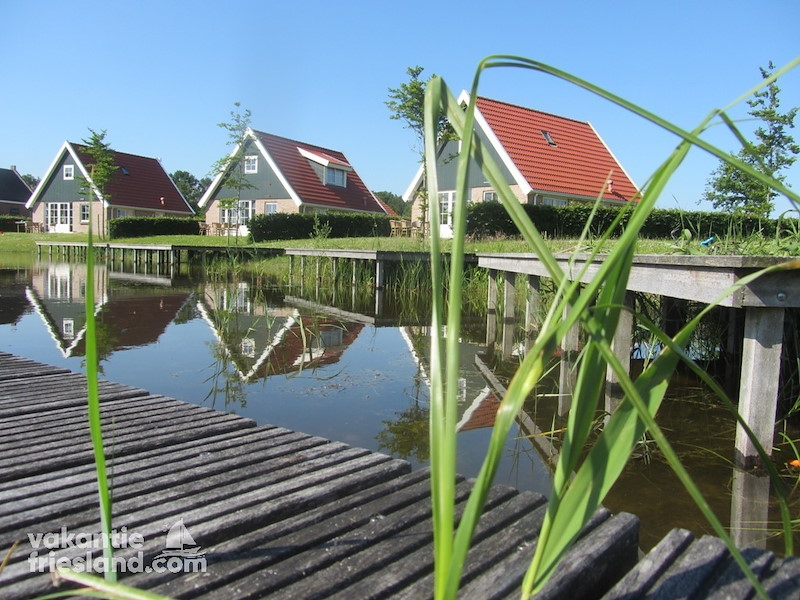 Vakantiehuis Bant omringd door water en bos