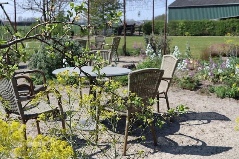 Groepsaccommodatie-Nederland-Berlicum-BLI-5002-18.jpg, terras