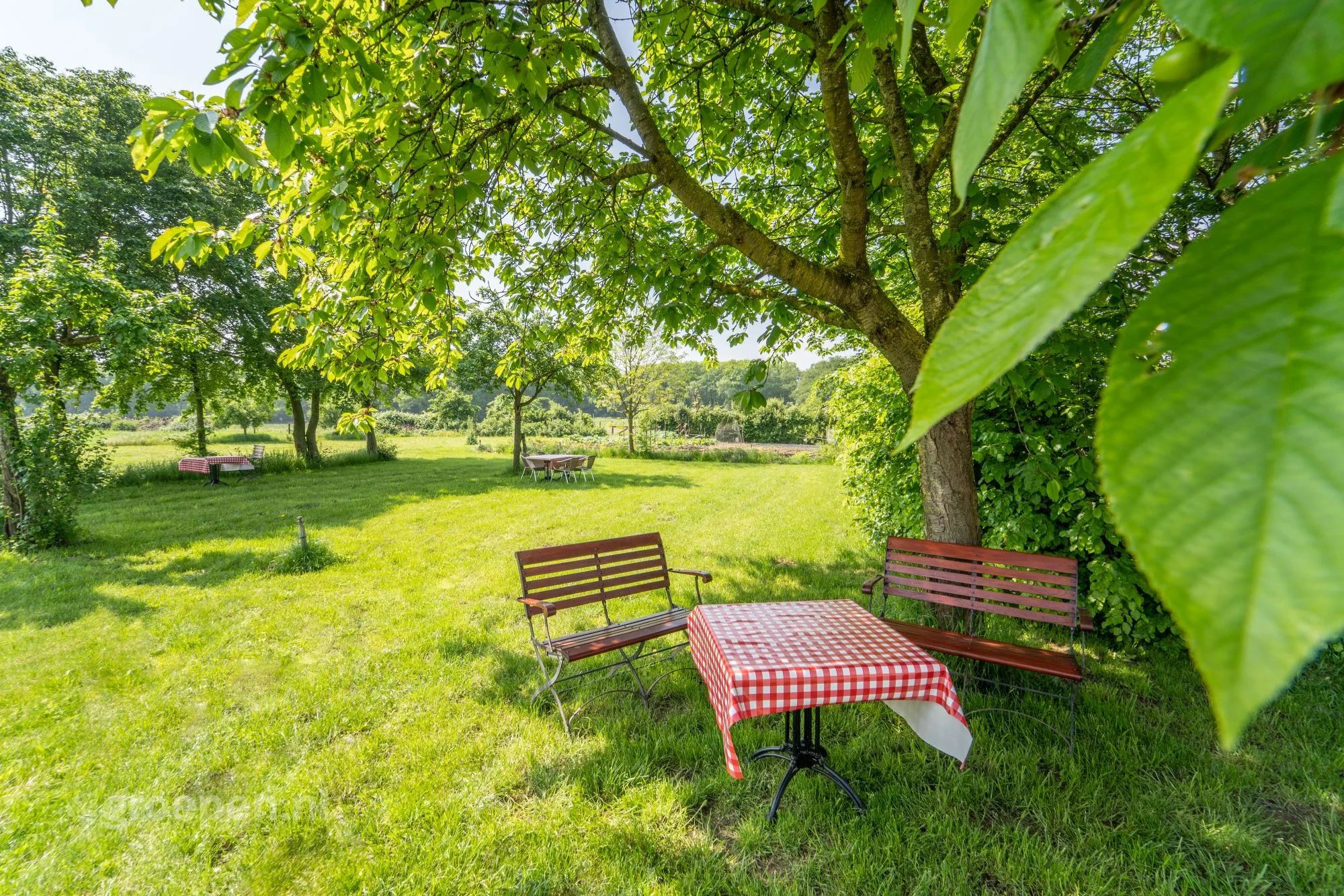 Sfeerbeeld Vakantiehuis Beesel