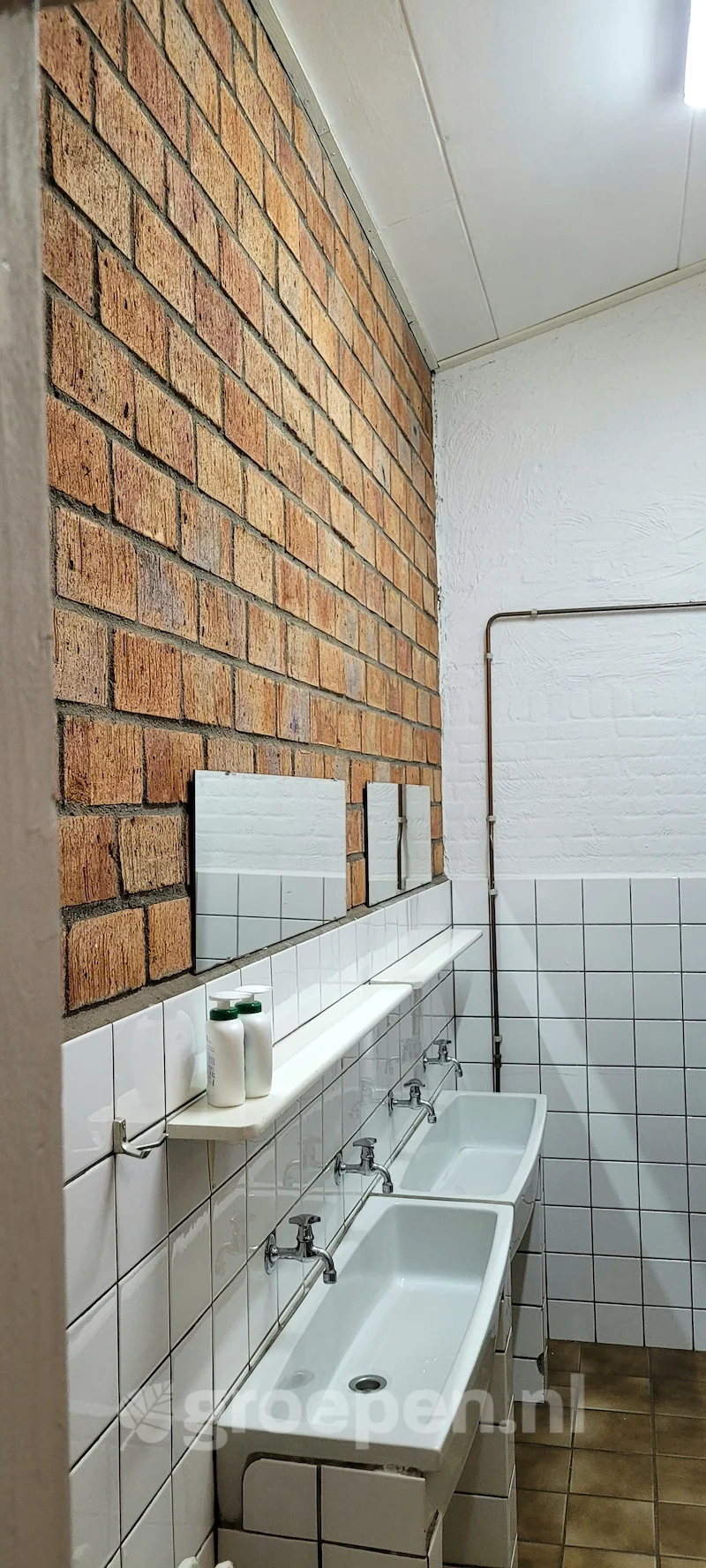 groepsaccommodatie-Nederland-36personen-loonopzand-LOZ-3310--016.jpg, Badkamer