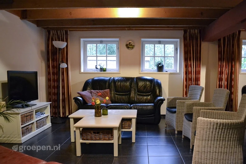 Groepsaccommodatie-Nederland-Goudriaan-13personen-GDN-535619.jpg, zithoek met TV