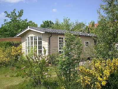 Bosveld 129 img